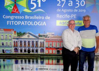 Pesquisa desenvolve método rápido e de baixo custo para a identificação de espécies de fungos