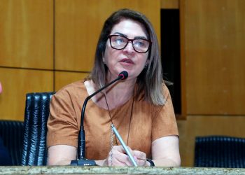 Iracy Baltar participa, na Assembleia Legislativa, de audiência pública sobre educação do campo