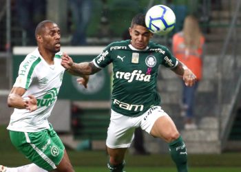 Palmeiras arranca vitória e continua na caça ao Flamengo