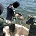 BPMA apreende artes de pesca na baía de Vitória e na foz do Rio Doce nesse final de semana