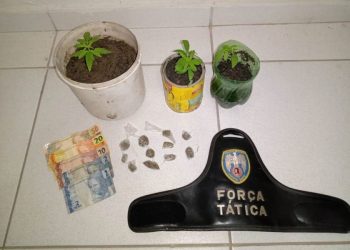 Polícia Militar apreende drogas e detém acusado de roubo em Pinheiros