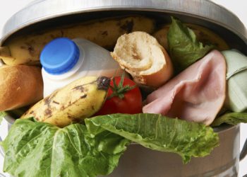 Brasil desperdiça 26,3 milhões de toneladas de alimentos por ano
