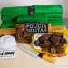 Polícia Militar apreende mais 11 quilos de maconha em São Mateus