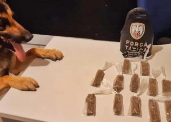 Drogas são apreendidas pela PM em Montanha e Nova Venécia