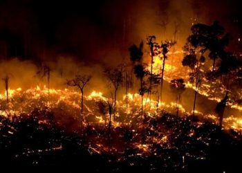 Pantanal registra o pior mês de queimadas em 60 anos