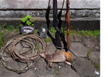 Polícia Militar Ambiental flagra caça ilegal e apreende armas de fogo durante operação em São Mateus