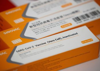 MS fecha contrato para comprar até 100 milhões de doses da Coronavac