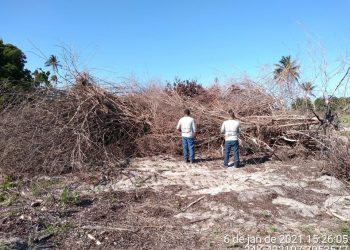 Parque Estadual de Itaúnas recebe fiscalizações para combate a crimes ambientais
