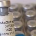 Vacina de Oxford apresenta ‘inúmeras vantagens’, dizem infectologistas