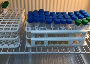 Prefeitura de Rio Bananal perde doses de vacinas após possível ação de vândalos