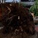 Nova Venécia realiza ações de reparos aos danos causados pelas fortes chuvas em diversos pontos da cidade