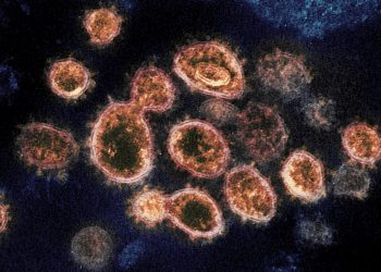 Estudo diz que variante britânica do novo coronavírus tem a taxa de mortalidade mais alta