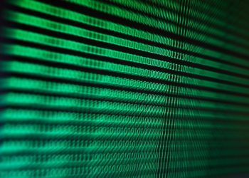 PF prende hacker suspeito do maior vazamento de dados do Brasil