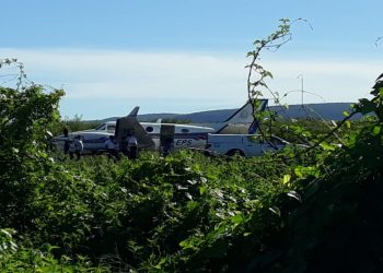 Avião com doses da vacina da Covid-19 bate em jumento que estava em pista de aeródromo da Bahia