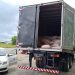 Sefaz apreende 7 toneladas de camarão seco no norte do Estado