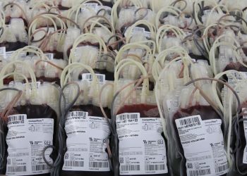 Dia Mundial da Hemofilia: condição genética dificulta coagulação