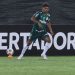 Palmeiras recebe Del Valle pela segunda rodada da Libertadores
