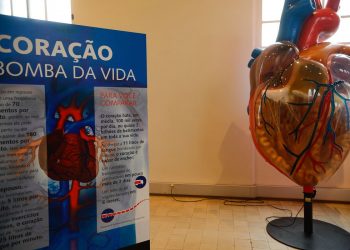 Doença cardiovascular é principal causa de morte de mulheres no mundo.