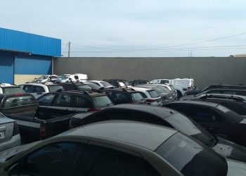 Seger realiza dois leilões on-line em junho