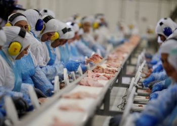 Arábia susupende compra de carne de ave de 11 frigoríficos do Brasil