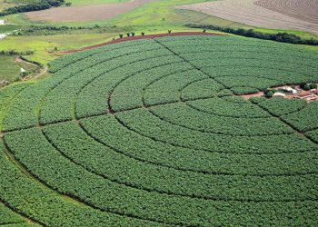 Economia Governo fixa ações para avaliar importação de produtos agropecuários