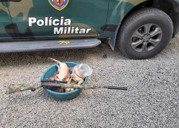 Polícia Ambiental apreende animais silvestres abatidos para comercialização