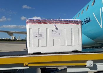 Estado recebe mais de 150 mil doses da Fiocruz para segundas doses