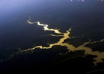 Geral Brasil é o primeiro do mundo em potencial de descoberta de espécies