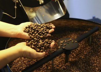 Economia Consumo mundial de café atinge volume de 167,58 milhões de sacas