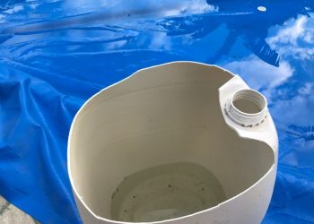 Sesa divulga 22° boletim da dengue, zika e chikungunya