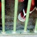 PF desarticula grupo que dava ordens de dentro de presídio no Paraná