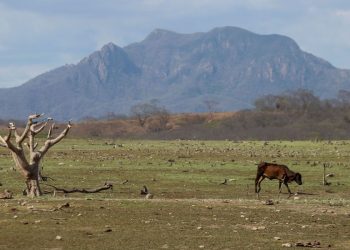 México sofre com falta d’água; produção agrícola é ameaçada