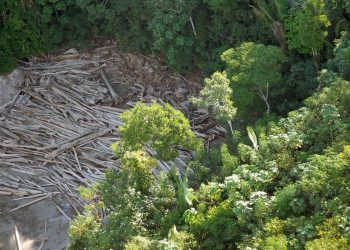 G20: população diz que planeta está perto de ponto de difícil retorno