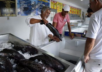 Doença “urina preta” pode estar relacionada a consumo de frutos do mar