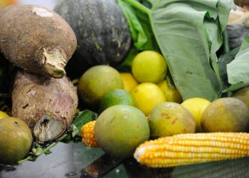No Brasil, 14% da população se considera vegetariana