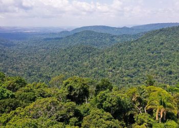 PF desarticula quadrilha que extraía ouro de terra indígena no Pará