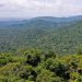 PF desarticula quadrilha que extraía ouro de terra indígena no Pará