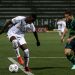 Fluminense recebe Chapecoense em busca de vaga na Libertadores