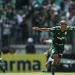Palmeiras sobra diante do Santos e fatura título inédito da Copinha
