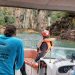 ‘Gritos, muito gritos’, diz turista que estava em ponte e viu queda de paredão que matou 10 em MG