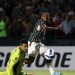 Fluminense pega Olimpia mirando vaga na fase de grupos da Libertadores