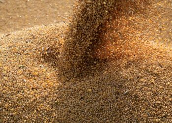 Guerra na Ucrânia afeta preços de commodities agrícolas, segundo Ipea