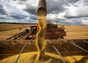 Produção agrícola deve atingir 269,3 milhões de toneladas, diz Conab