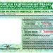 Nova CNH começará a ser emitido nesta quarta-feira (01/06)