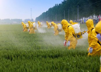 Intoxicação por agrotóxicos mata um brasileiro a cada dois dias