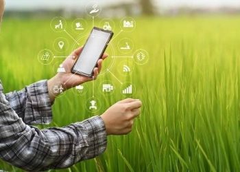 Seag, Idaf e Incaper participam do TecnoAgro em Linhares