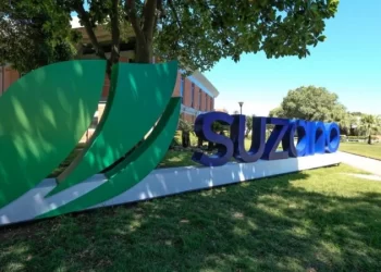 A Suzano (SUZB3) anunciou nesta quinta-feira (30) a intenção de construir uma fábrica de papel Tissue e conversão em papel higiênico e papel toalha no município de Aracruz (ES), com capacidade de 60 mil toneladas por ano