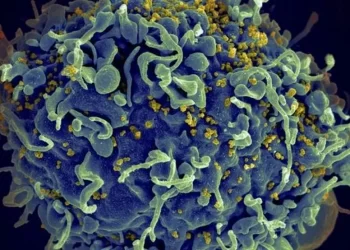 Médicos anunciam 4º caso de cura de HIV