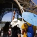 Onda de calor na Europa atinge temperatura que deve passar de 40ºC em Paris, e incêndios devastam sul da França