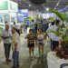 Exposul Rural 2022 começa nesta quinta-feira (04). Confira as atrações